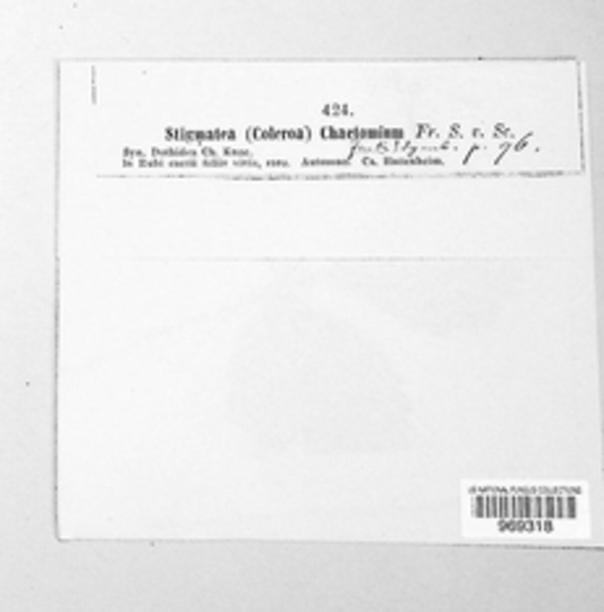 Coleroa chaetomium image